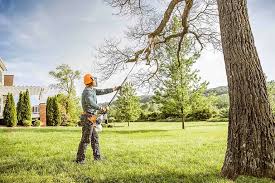 Leavenworth, KS Tree Removal and Landscaping Services Company